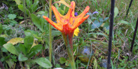 DSCN2576