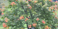 DSCN2629