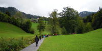 DSCN2636
