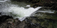DSCN2640