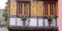 DSCN0260