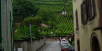 DSCN0270