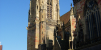 DSCN0285
