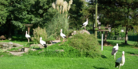 DSCN0303